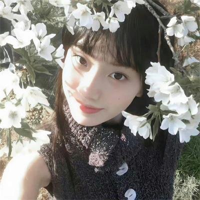 青葱岁月