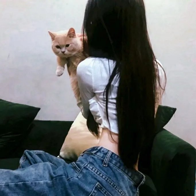 孤堡疑云